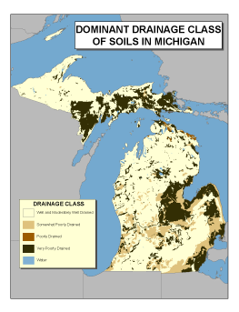 Dominant Drainage Class of Soils in Michigan